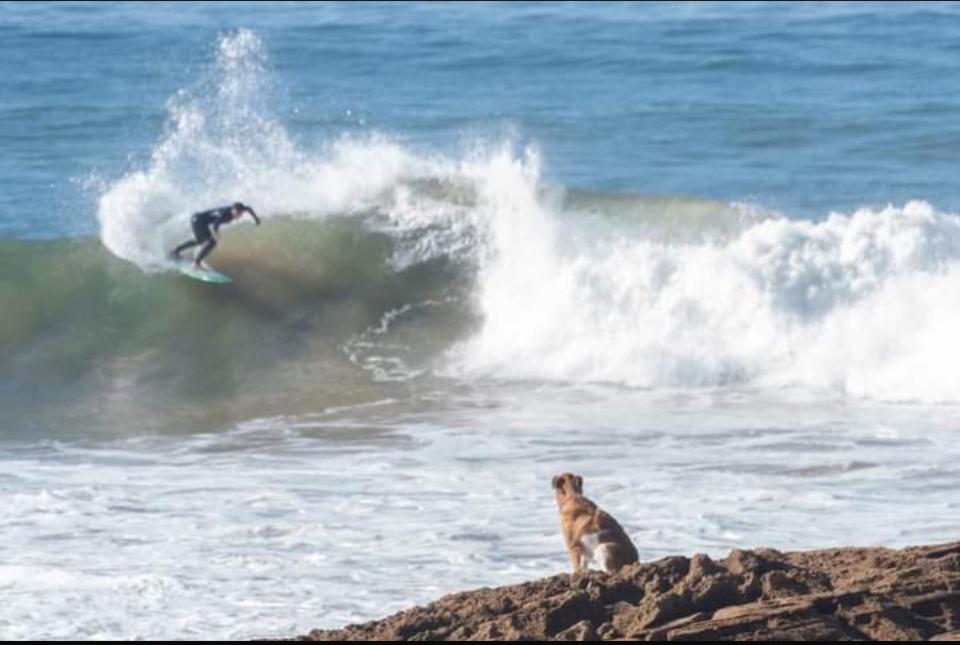 Surf & aventure